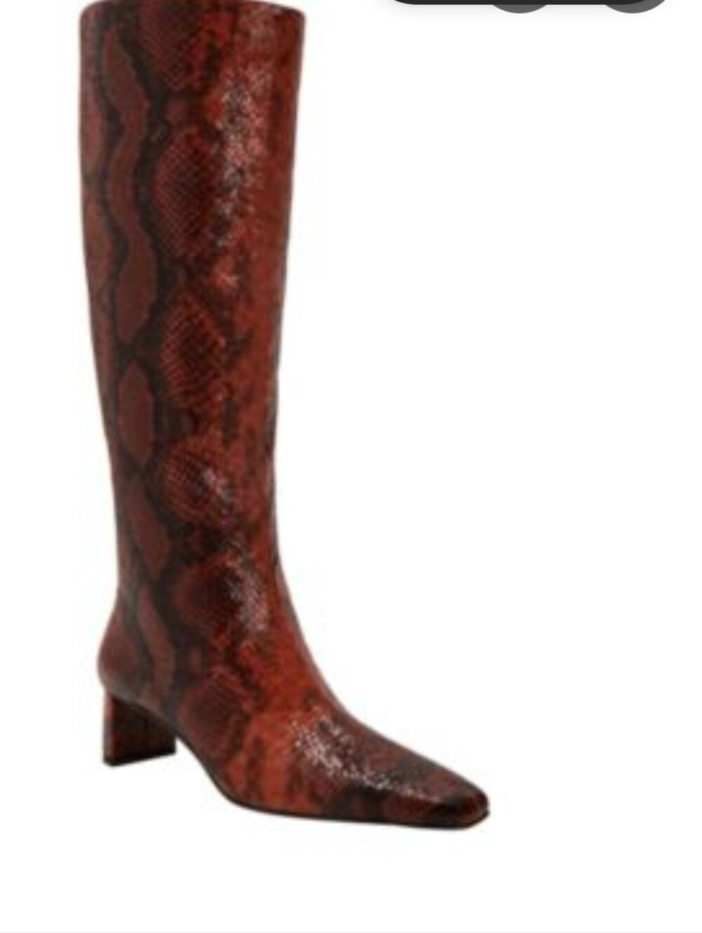 NWOB Katy Perry Collections Wandering Red Snake-Print Boot Sz 5